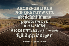 Reity Cegohe Retro Groovy Display Font Modern Product Image 6