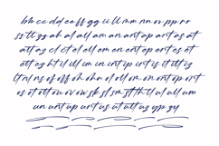 Reliska Bondes - Modern Signature Font Product Image 17
