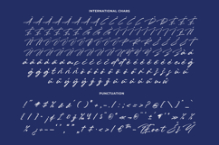 Reliska Bondes - Modern Signature Font Product Image 18
