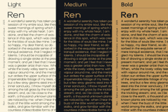 Ren - Sans serif font family Product Image 14