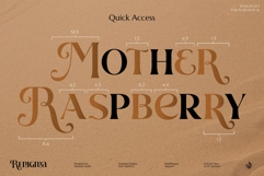 Renigma Product Image 12