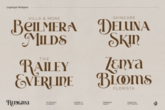 Renigma Product Image 14