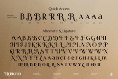 Renigma Product Image 15