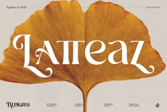 Renigma Product Image 3