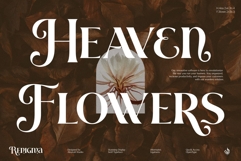 Renigma Product Image 5