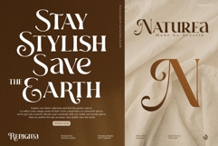 Renigma Product Image 7