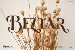 Renigma Product Image 9