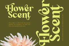 Repag Bayoe - Bold Restro Serif Font Product Image 3