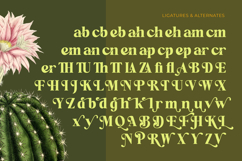 Repag Bayoe - Bold Restro Serif Font Product Image 18