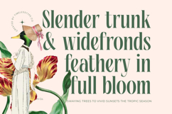 Repslag Brocker - Modern Display Serif Font Product Image 6