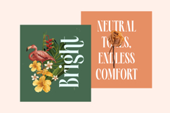 Repslag Brocker - Modern Display Serif Font Product Image 12