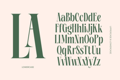 Repslag Brocker - Modern Display Serif Font Product Image 14