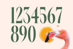 Repslag Brocker - Modern Display Serif Font Product Image 16