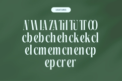 Repslag Brocker - Modern Display Serif Font Product Image 17