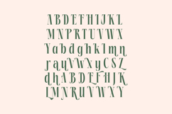 Repslag Brocker - Modern Display Serif Font Product Image 18