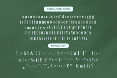 Repslag Brocker - Modern Display Serif Font Product Image 19