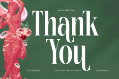 Repslag Brocker - Modern Display Serif Font Product Image 20