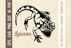 Iguana Svg, Reptiles amphibians Stencil, SVG Cut File Product Image 1