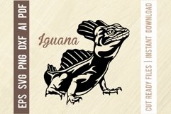 Iguana Svg, Reptiles amphibians Stencil, SVG Cut File Product Image 1