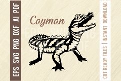 Cayman Svg, Reptiles amphibians Stencil, SVG Cut File Product Image 1