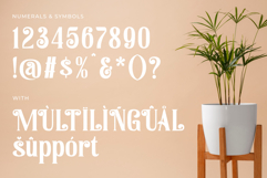 Reptilian | A Unique and Classic Serif Font Product Image 13
