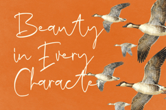 Resetta Milestone - Handwritten Signature Script Font Product Image 4