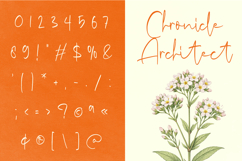 Resetta Milestone - Handwritten Signature Script Font Product Image 6