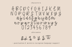 Resplendent Script Product Image 10