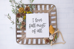 Resplendent Script Product Image 6