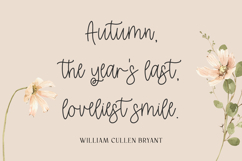 Resplendent Script Product Image 7