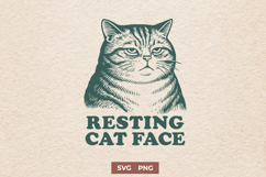 Resting Cat Face SVG PNG, Funny Grumpy Sarcastic Cat Clipart Product Image 1