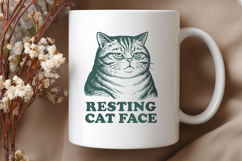 Resting Cat Face SVG PNG, Funny Grumpy Sarcastic Cat Clipart Product Image 3
