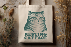 Resting Cat Face SVG PNG, Funny Grumpy Sarcastic Cat Clipart Product Image 2