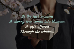 Restion Cafferia Classy Serif Display Font Product Image 5