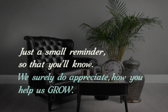 Restion Cafferia Classy Serif Display Font Product Image 6