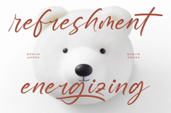 Restofa Poliski - Natural Handwritten Font Product Image 14