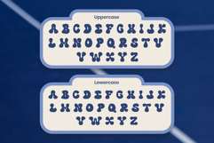 Delva Product Image 10