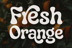 Fresh Orange Typography SVG PNG EPS | Retro Fruit Label Product Image 2