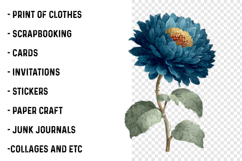 Retro Vintage Sunflowers Cliparts Product Image 2