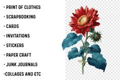 Retro Vintage Sunflowers Cliparts Product Image 2