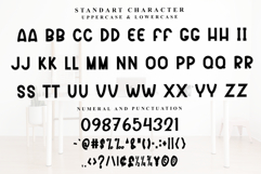 Retro Product Image 4