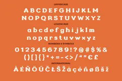 Retro Groove Groovy 70s Retro Display Font Product Image 3