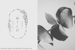 Reverie Sans Product Image 12