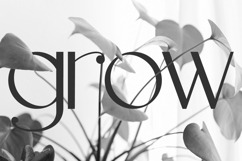 Reverie Sans Product Image 2