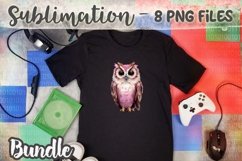 Summer vintage owls Sublimation Bundle - 8 PNG Product Image 2