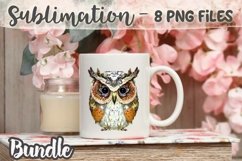 Summer vintage owls Sublimation Bundle - 8 PNG Product Image 5