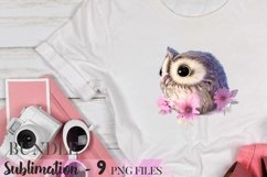 Vintage Paris Summer Sublimation Bundle - 9 PNG Product Image 3