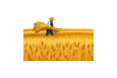 Farmer harvesting golden wheat in a sunlit field with a stra Product Image 1