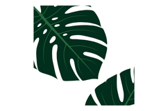 Monstera leaves tropical green foliage vector illustration n Product Image 1