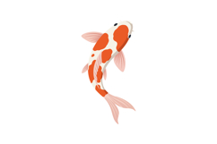Koi Fish Swimming Illustration with Orange and White Colors Product Image 1